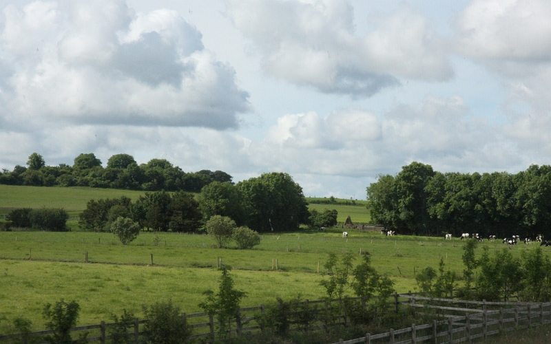 IMG_3522.jpg - County Cork, Ireland