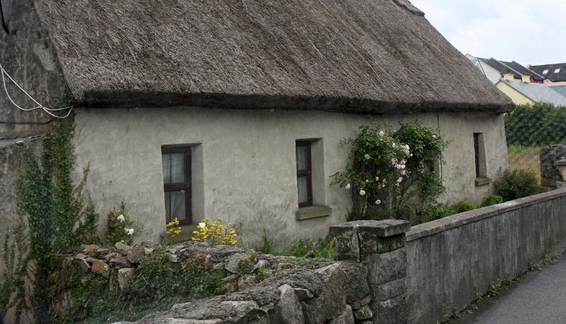 IMG_4239.jpg - Thatched Room Home in Galway, Ireland
