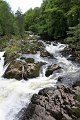 IMG_3051