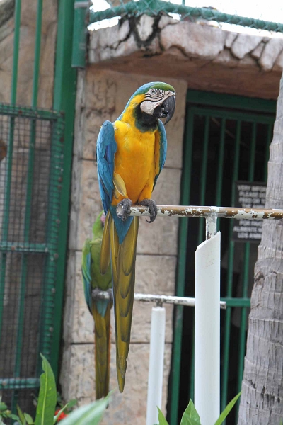 IMG_4378.JPG