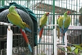 IMG_4379