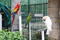 IMG_4381