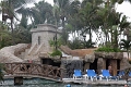 IMG_4391_edited-1