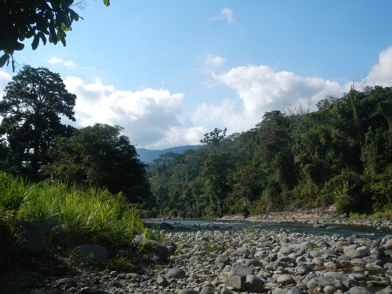 DSCN1803.jpg -                                