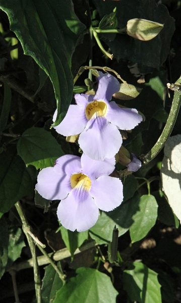 IMG_0366_edited-1.jpg