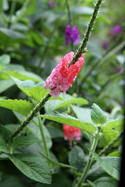 IMG_0588_edited-1.jpg