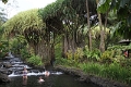 IMG_0538_edited-1