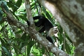 IMG_0684_edited-1