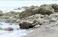 IMG_1024_edited-1