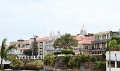 IMG_1354_edited-1