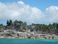 DSCN1638
