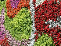 Flower Wall on the Bund