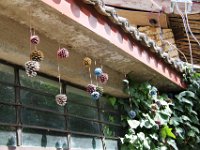 Old Town Lijiang