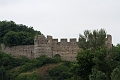 IMG_2637