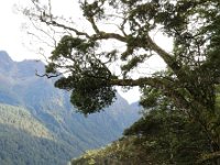 Fiordland National Park