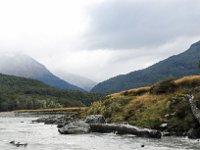 Dart River, Queenstown