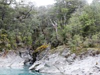 Dart River, Queenstown