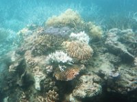 Great Barrier Reef