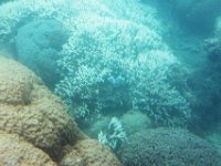 Great Barrier Reef