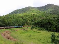 Train to Daintree Rainforest