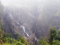 Daintree Rainforest