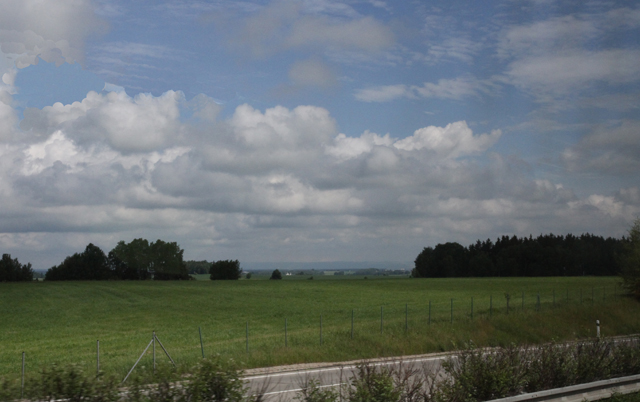 IMG_3978.jpg