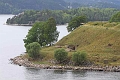 IMG_5799