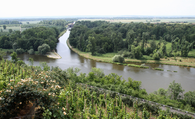 IMG_4517.jpg - Rose Arbor and Vineyard in Melnik, Czech Republic