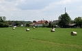 IMG_4534