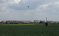 IMG_4536