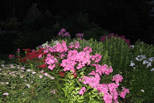 IMG_4699.jpg