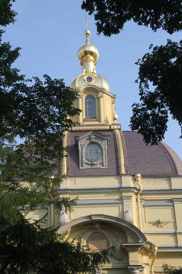 IMG_4734.jpg