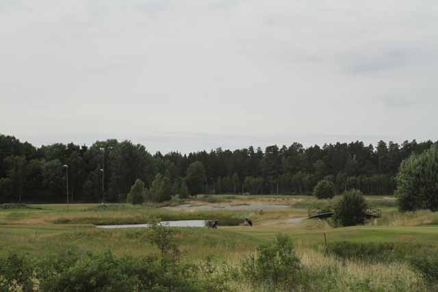IMG_4054.jpg - Golf Course in Sweden